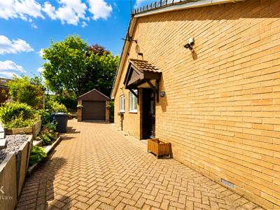 Picture 17